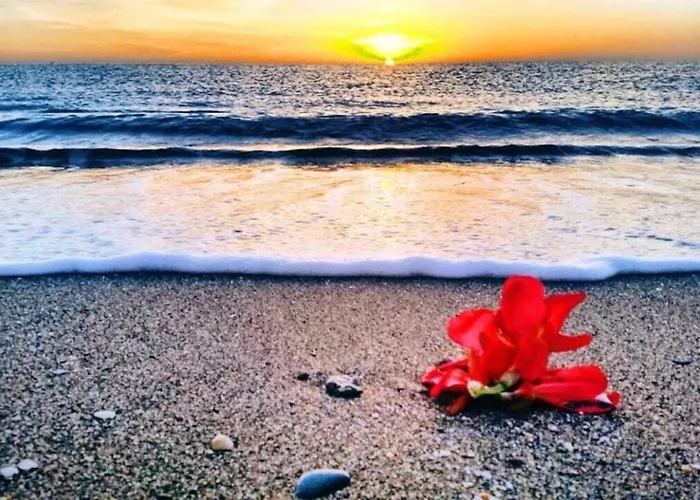 Comfortable House In With Terrace