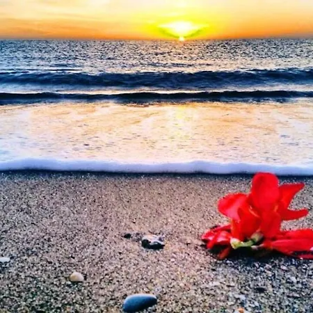 Comfortable House In With Terrace