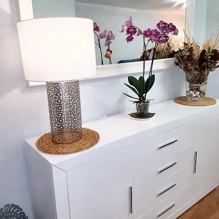 Comfortable House In With Terrace Holiday home